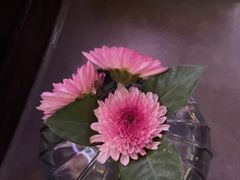 -锦府园·新台州菜(合生汇店)