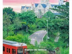 -东莞市大岭山森林公园
