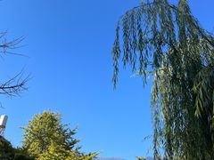 -大理洱海