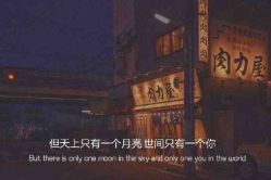 -凡碧诗毛孔清洁收细