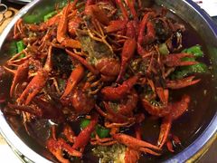 -红盔甲·小龙虾(天钥桥店)
