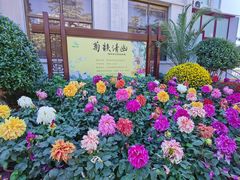 -陶然亭公园