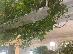 -岳姥姥饺子(泺文路店)