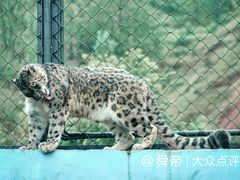 -青藏高原野生动物园