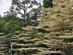 -四海公园(南山区)