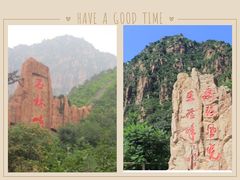 -呀路古热带植物园