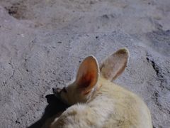 -杭州野生动物世界