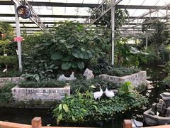 -嬉乐湾休闲旅游区