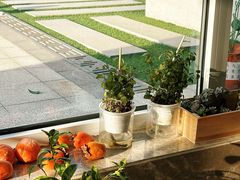 -徂徕山森林康养度假谷温泉