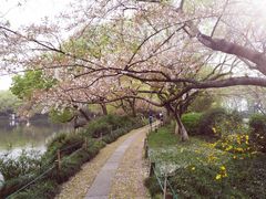 -西湖外事游船(花港观鱼码头)