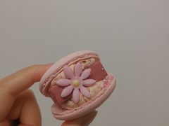 花花半熟马卡龙玫瑰双莓芝士口味-好利来(清华南门店)