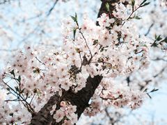 -浙江大学(玉泉校区)