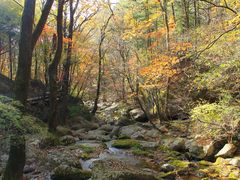 -丹东天桥沟景区