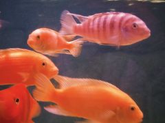 -常州海昌海洋探索馆