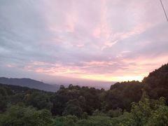-金水泊山庄·花椒鸡(铁山坪店)