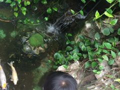 -上海昆虫博物馆