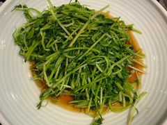 酒香炒豆苗-老头儿油爆虾·知味杭州(爱琴海购物中心)