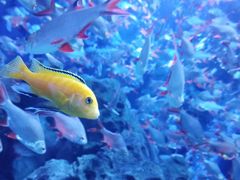 -成都浩海立方海洋公园