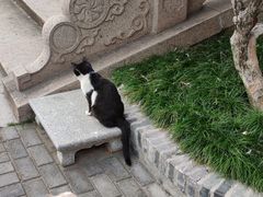 -高旻寺
