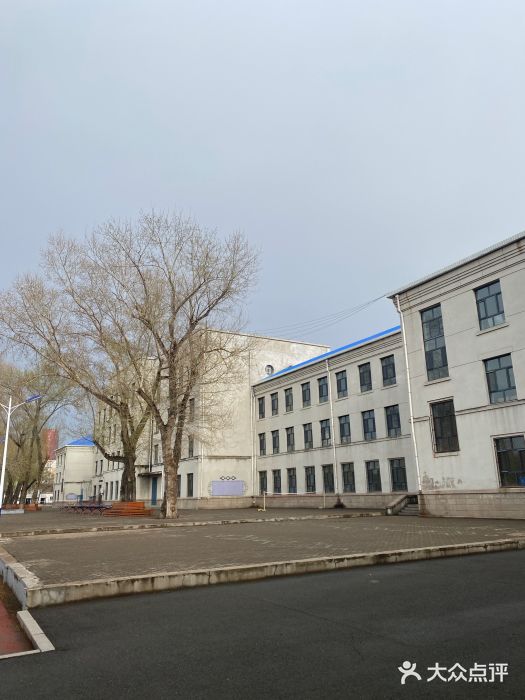 齐齐哈尔市实验中学图片