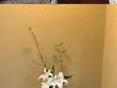 -こま井亭