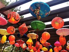 -深圳国际园林花卉博览园