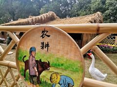 -汇龙潭