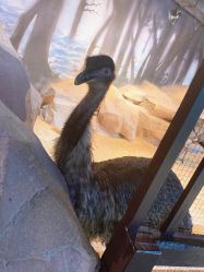 -酷嗒动物文化乐园(cutezoo西溪乐天城店)