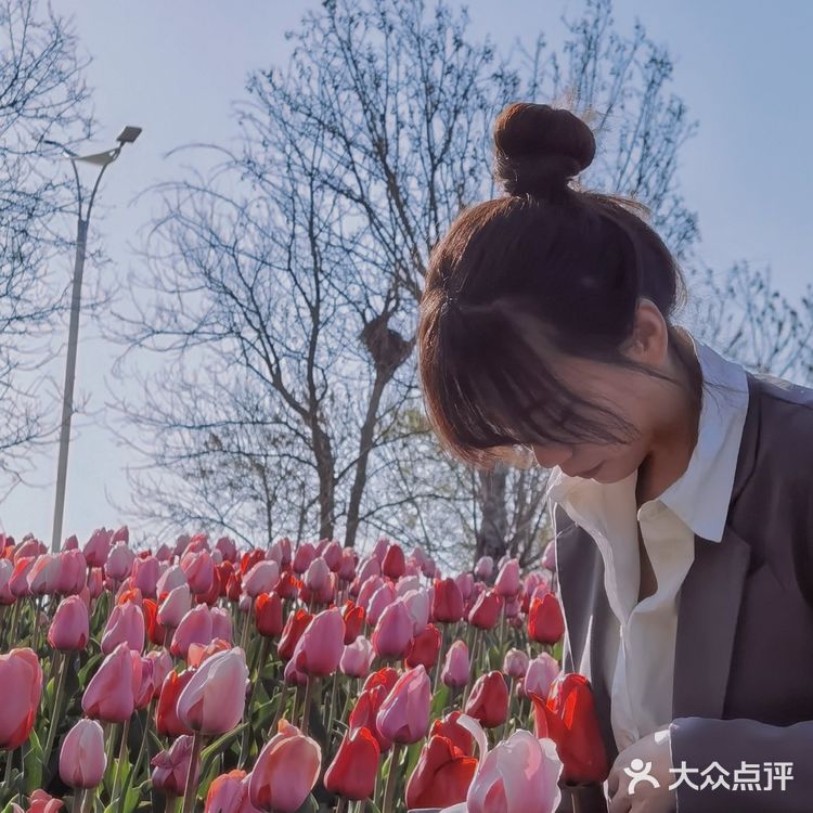 烟台郁金香🌷:和阿姨们抢夺最美拍照机位