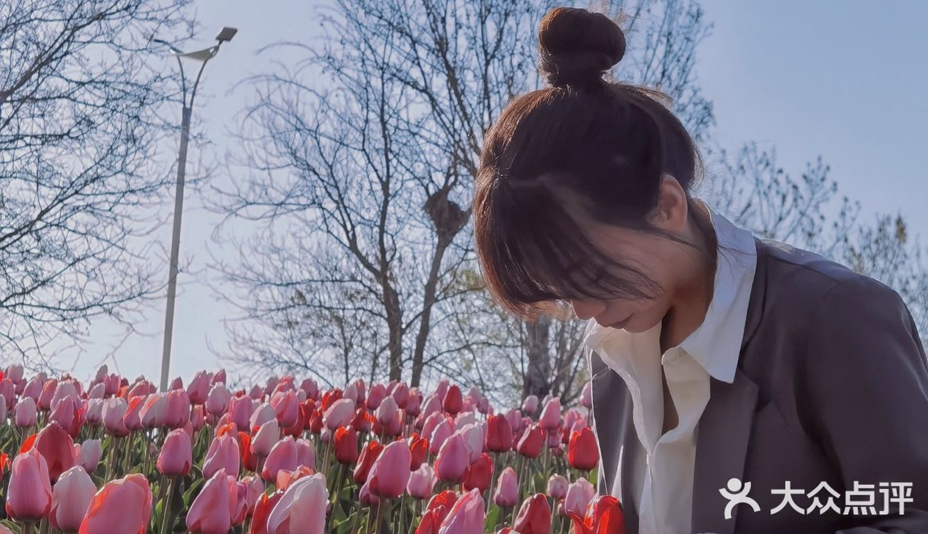 烟台郁金香🌷：和阿姨们抢夺最美拍照机位