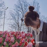 烟台郁金香🌷：和阿姨们抢夺最美拍照机位