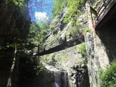 -牛背梁国家森林公园