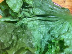 -石记老北京炙子烤肉(松园店)