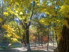 -长白岛森林公园