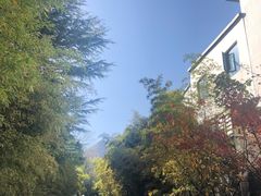 -楼观道温泉酒店