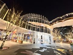 -黑胶星球(华发中城商都店)