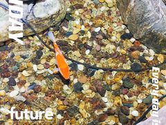 -清真·京华源铜锅涮肉(丰庆店)