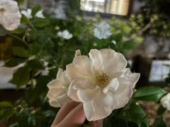 -边渡咖啡烘焙店(昙华林店)