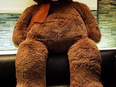 -真爱范特西KTV(交大店)