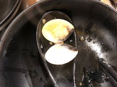 -水哥卜卜贝(东晓·胜汇里店)
