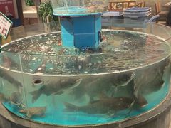 -魏铭鱼头捞饭(晋阳路店)