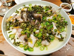 青青椒麻龙胆鱼-CHIC1699远洋私厨