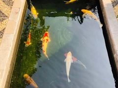 -西安市广仁寺