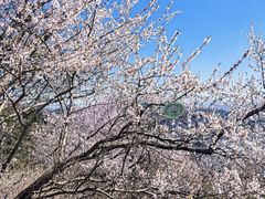 -香山公园