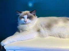 -零纪元VR体验馆·桌游(黄浦店)