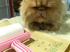 -小时光咖啡馆(开森度假森林店)