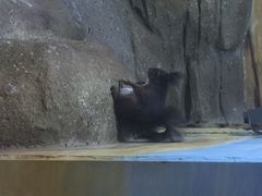 金鹰海洋世界-常州海昌海洋探索馆