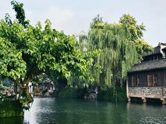 -乌镇西栅景区