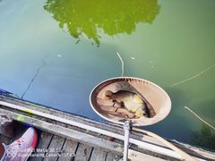 -酷鱼垂钓CLUB(朝阳区博大路店 )