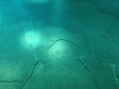 -白鹤梁水下博物馆
